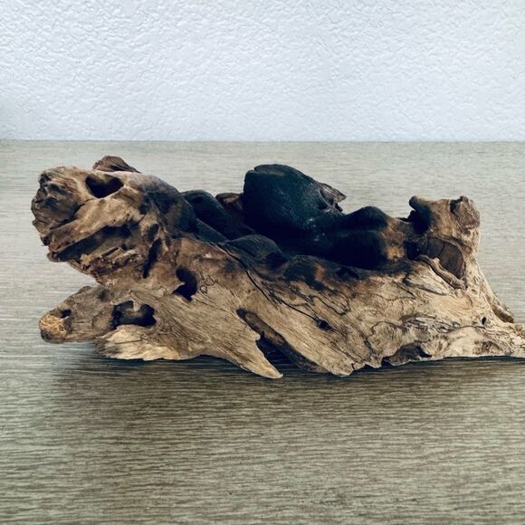 Driftwood Natural Wood Decor Slab Piece - Picture 1 of 5